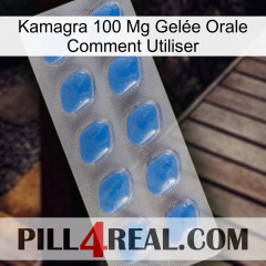 Kamagra 100 Mg Gelée Orale Comment Utiliser 22